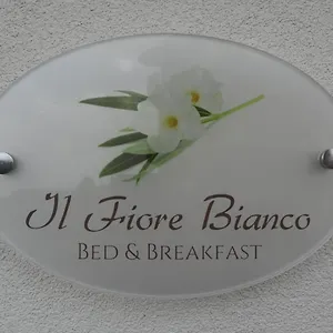 Bed & Breakfast Il Fiore Bianco, Capo d'Orlando